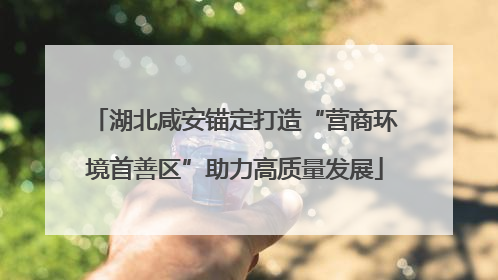 湖北咸安锚定打造“营商环境首善区”助力高质量发展