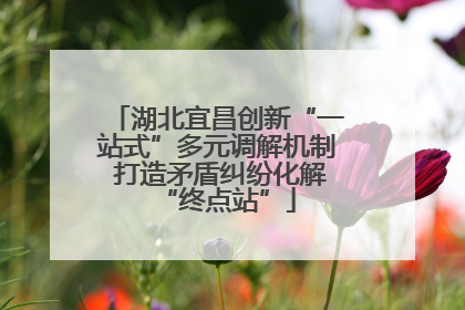 湖北宜昌创新“一站式”多元调解机制 打造矛盾纠纷化解“终点站”