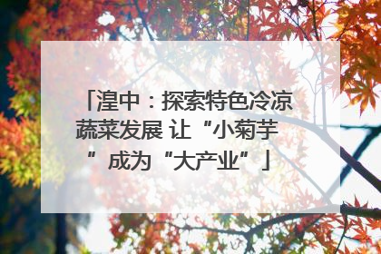 湟中：探索特色冷凉蔬菜发展 让“小菊芋”成为“大产业”