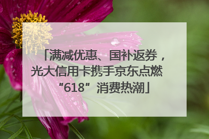 满减优惠、国补返券，光大信用卡携手京东点燃“618”消费热潮