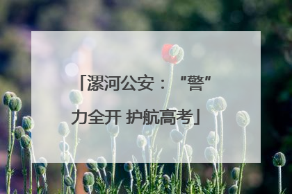 漯河公安：“警”力全开 护航高考