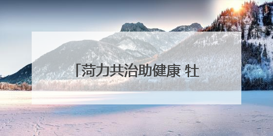 菏力共治助健康 牡丹区省派第一书记和工作队邀请省妇幼保健院专家开展义诊活动