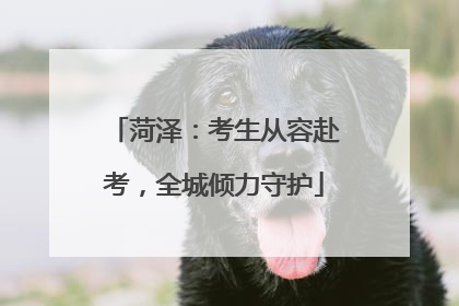 菏泽：考生从容赴考，全城倾力守护
