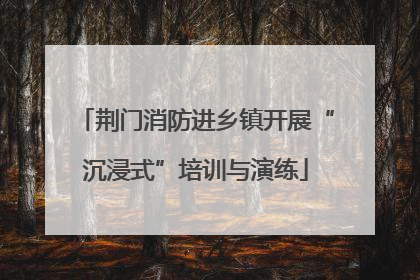 荆门消防进乡镇开展“沉浸式”培训与演练