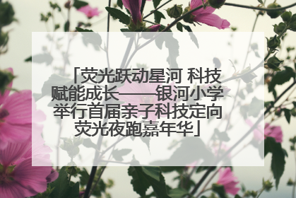 荧光跃动星河 科技赋能成长——银河小学举行首届亲子科技定向荧光夜跑嘉年华