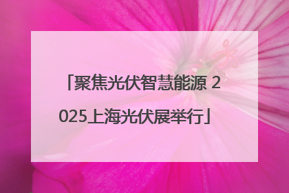 聚焦光伏智慧能源 2025上海光伏展举行
