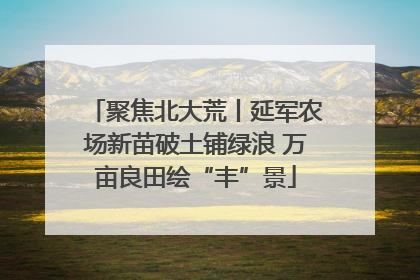 聚焦北大荒丨延军农场新苗破土铺绿浪 万亩良田绘“丰”景