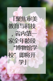 聚焦审美教育与科技，省内第一家全年龄段“博物馆学校”即将开学