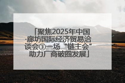 聚焦2025年中国·廊坊国际经济贸易洽谈会③一场“链主会” 助力厂商破圈发展