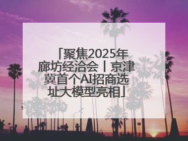 聚焦2025年廊坊经洽会丨京津冀首个AI招商选址大模型亮相