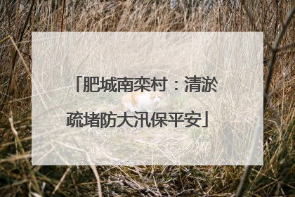 肥城南栾村：清淤疏堵防大汛保平安