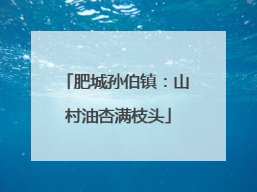肥城孙伯镇：山村油杏满枝头