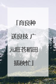 育良种 送良技 广元旺苍稻田插秧忙