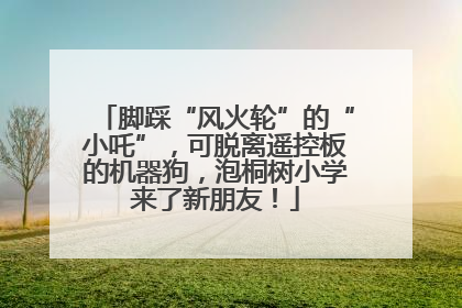 脚踩“风火轮”的“小吒”，可脱离遥控板的机器狗，泡桐树小学来了新朋友！