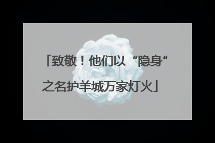 致敬！他们以“隐身”之名护羊城万家灯火
