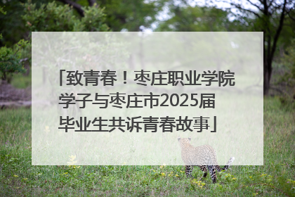 致青春！枣庄职业学院学子与枣庄市2025届毕业生共诉青春故事