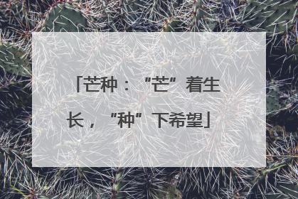 芒种：“芒”着生长，“种”下希望