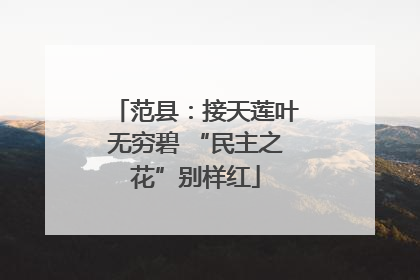 范县：接天莲叶无穷碧 “民主之花”别样红