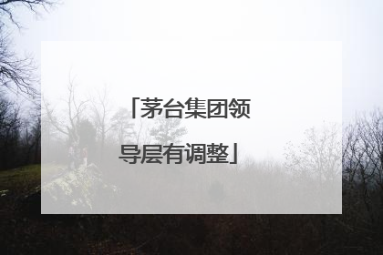 茅台集团领导层有调整