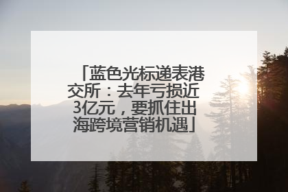 蓝色光标递表港交所：去年亏损近3亿元，要抓住出海跨境营销机遇