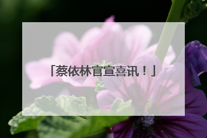蔡依林官宣喜讯！