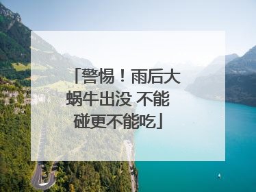 警惕！雨后大蜗牛出没 不能碰更不能吃