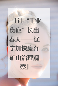 让“工业伤疤”长出春天——辽宁加快废弃矿山治理观察