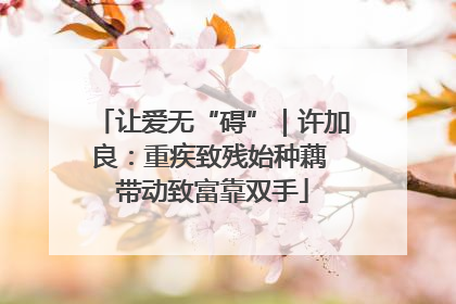 让爱无“碍”｜许加良：重疾致残始种藕 带动致富靠双手