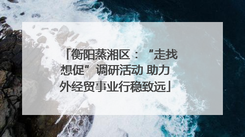衡阳蒸湘区：“走找想促”调研活动 助力外经贸事业行稳致远