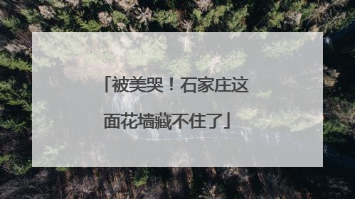 被美哭！石家庄这面花墙藏不住了