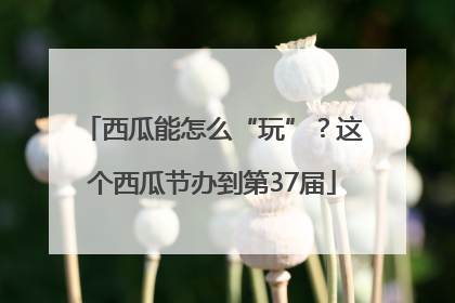西瓜能怎么“玩”？这个西瓜节办到第37届