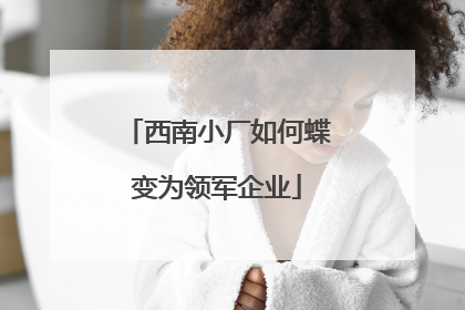 西南小厂如何蝶变为领军企业