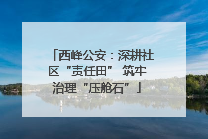 西峰公安：深耕社区“责任田” 筑牢治理“压舱石”