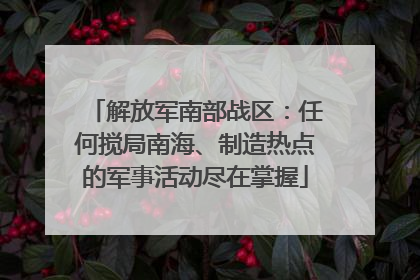 解放军南部战区：任何搅局南海、制造热点的军事活动尽在掌握