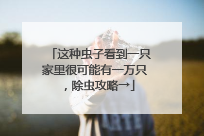 这种虫子看到一只家里很可能有一万只，除虫攻略→