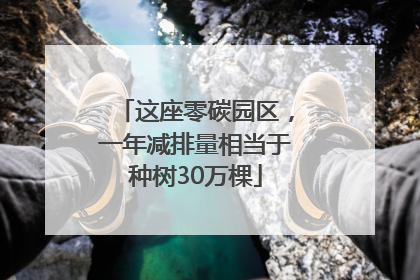 这座零碳园区，一年减排量相当于种树30万棵