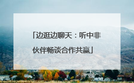 边逛边聊天：听中非伙伴畅谈合作共赢