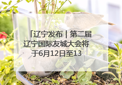 辽宁发布｜第二届辽宁国际友城大会将于6月12日至13日在沈阳举办