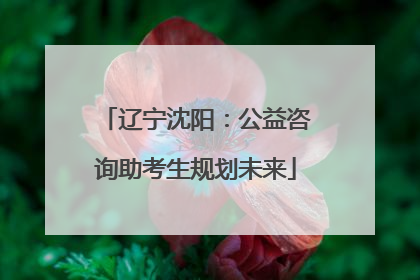 辽宁沈阳：公益咨询助考生规划未来