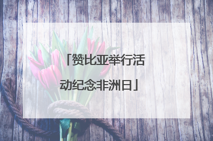赞比亚举行活动纪念非洲日