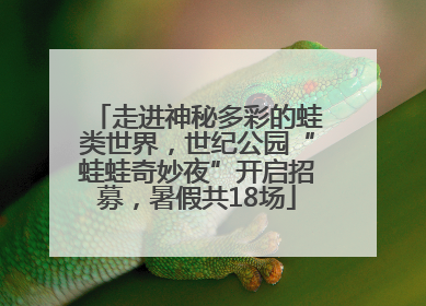 走进神秘多彩的蛙类世界，世纪公园“蛙蛙奇妙夜”开启招募，暑假共18场