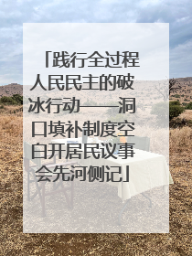 践行全过程人民民主的破冰行动——洞口填补制度空白开居民议事会先河侧记