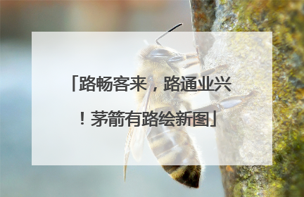 路畅客来，路通业兴！茅箭有路绘新图