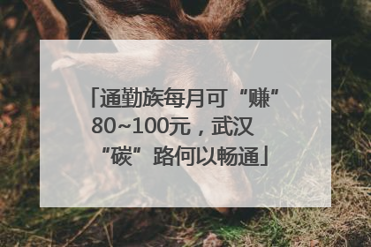 通勤族每月可“赚”80~100元，武汉“碳”路何以畅通