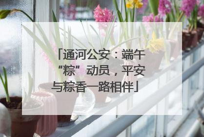 通河公安：端午“粽”动员，平安与粽香一路相伴