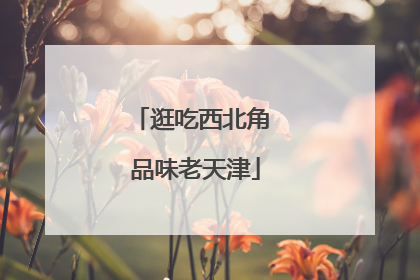 逛吃西北角 品味老天津