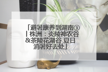 避暑康养到湖南③丨株洲：炎陵神农谷&茶陵花湖谷 夏日消暑好去处