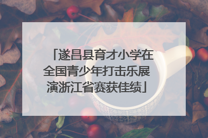 遂昌县育才小学在全国青少年打击乐展演浙江省赛获佳绩