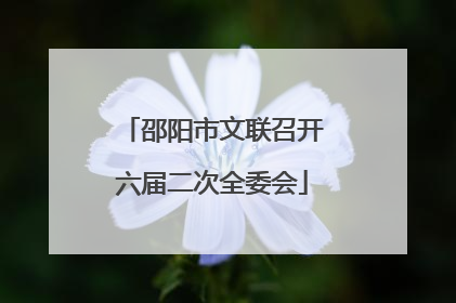 邵阳市文联召开六届二次全委会