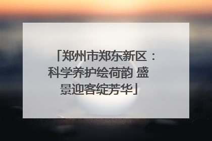 郑州市郑东新区：科学养护绘荷韵 盛景迎客绽芳华